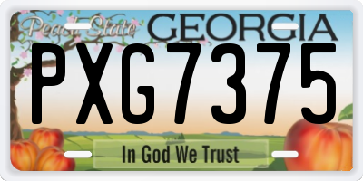 GA license plate PXG7375