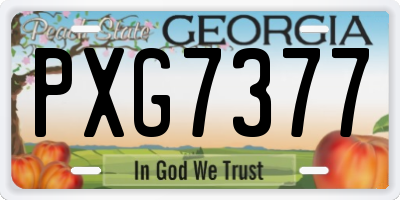 GA license plate PXG7377