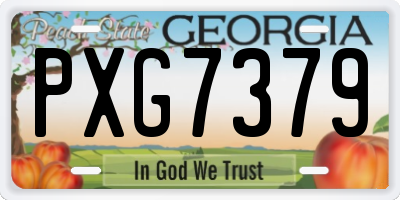 GA license plate PXG7379