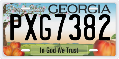 GA license plate PXG7382