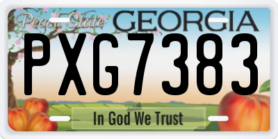 GA license plate PXG7383