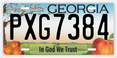 GA license plate PXG7384