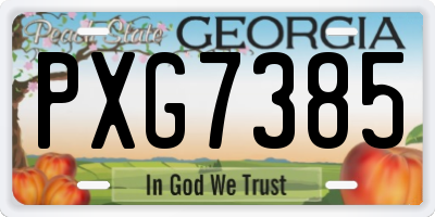GA license plate PXG7385