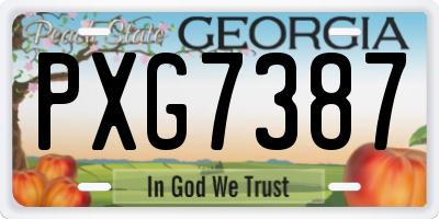 GA license plate PXG7387
