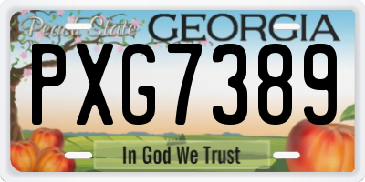 GA license plate PXG7389