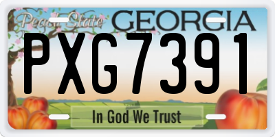 GA license plate PXG7391