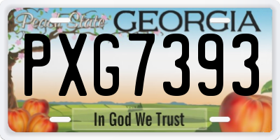 GA license plate PXG7393