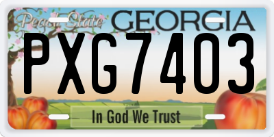 GA license plate PXG7403