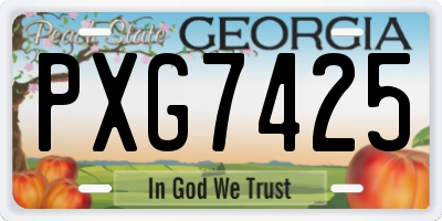 GA license plate PXG7425