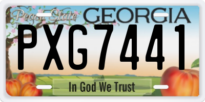 GA license plate PXG7441