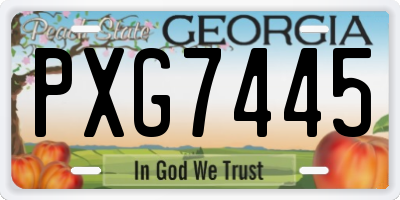 GA license plate PXG7445