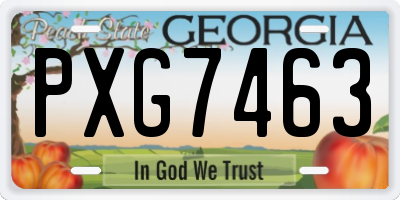 GA license plate PXG7463