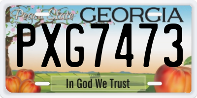 GA license plate PXG7473