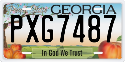 GA license plate PXG7487