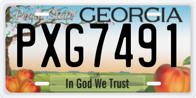 GA license plate PXG7491