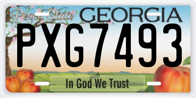 GA license plate PXG7493