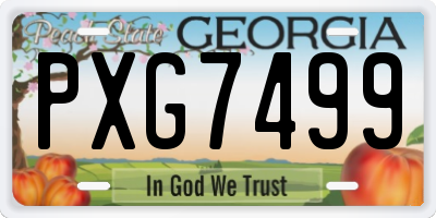 GA license plate PXG7499