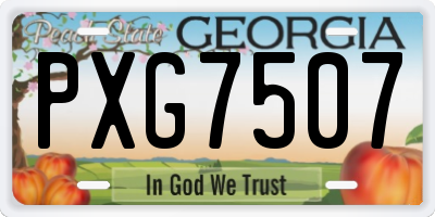 GA license plate PXG7507