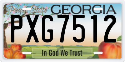 GA license plate PXG7512