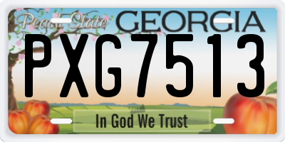GA license plate PXG7513