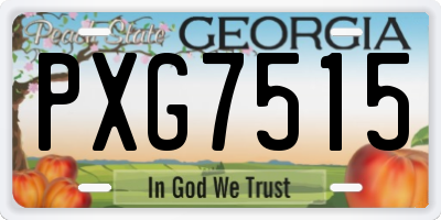 GA license plate PXG7515