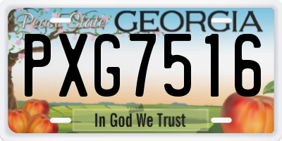 GA license plate PXG7516