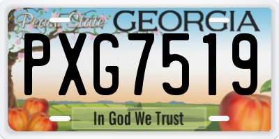 GA license plate PXG7519