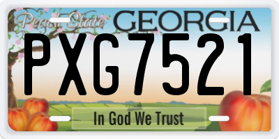 GA license plate PXG7521