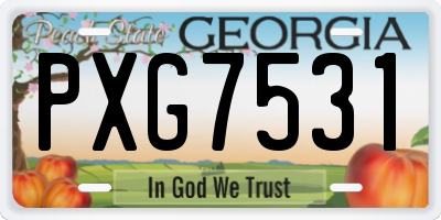 GA license plate PXG7531