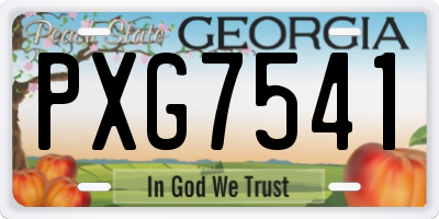 GA license plate PXG7541