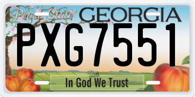 GA license plate PXG7551