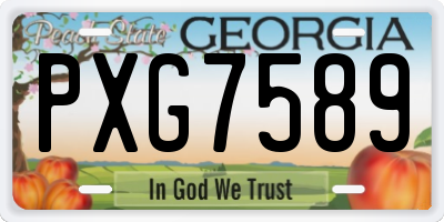 GA license plate PXG7589