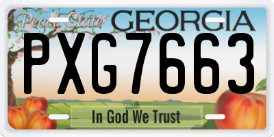 GA license plate PXG7663
