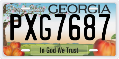 GA license plate PXG7687