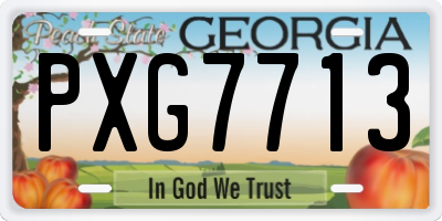 GA license plate PXG7713