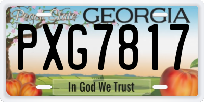 GA license plate PXG7817