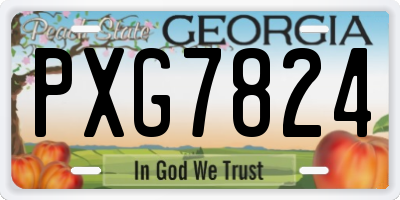 GA license plate PXG7824
