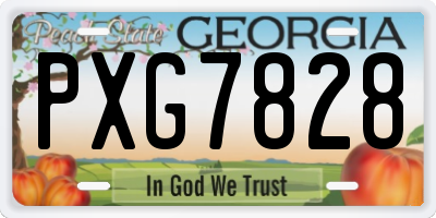 GA license plate PXG7828