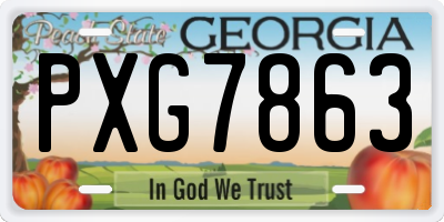 GA license plate PXG7863