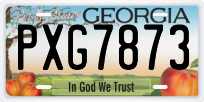 GA license plate PXG7873