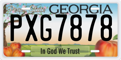 GA license plate PXG7878