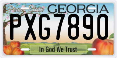 GA license plate PXG7890