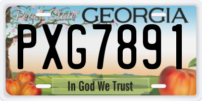 GA license plate PXG7891