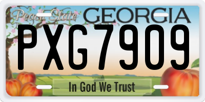 GA license plate PXG7909