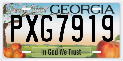 GA license plate PXG7919