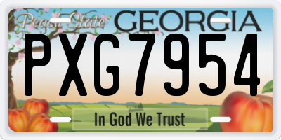 GA license plate PXG7954