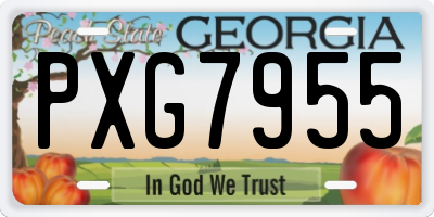 GA license plate PXG7955
