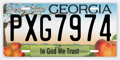 GA license plate PXG7974