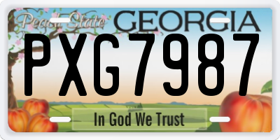 GA license plate PXG7987