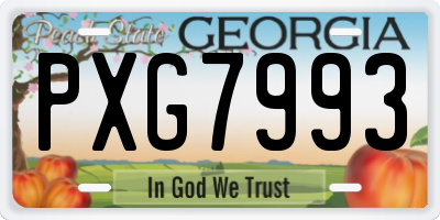 GA license plate PXG7993